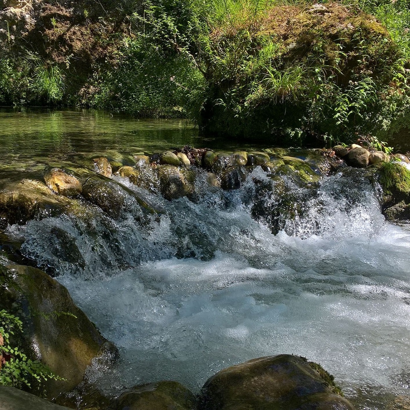 My Wellness Spring